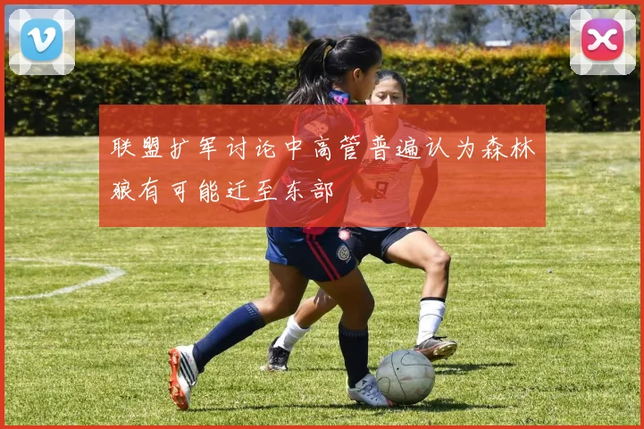 联盟扩军讨论中高管普遍认为森林狼有可能迁至东部