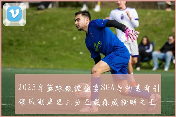 2025年篮球数据盛宴SGA与约基奇引领风潮库里三分王戴森成抢断之王