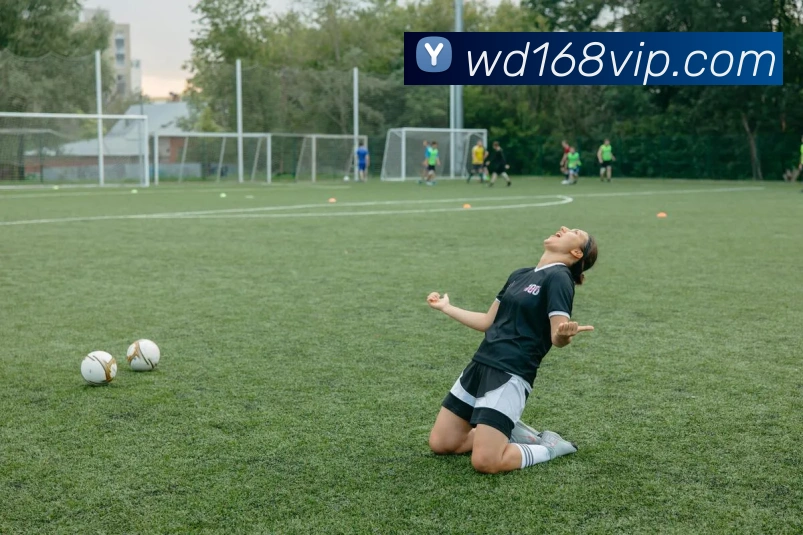 App Interface Preview